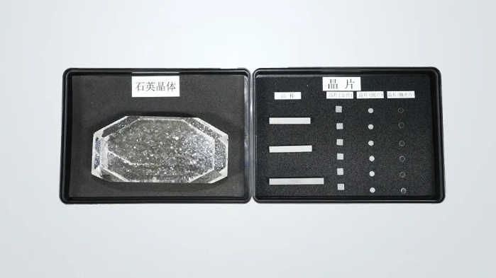 2026.3.12植树节5 2026.3.12植树节5